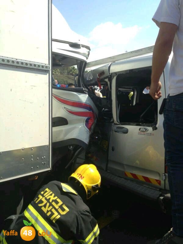 yosef sa3ed 825 (5).jpg